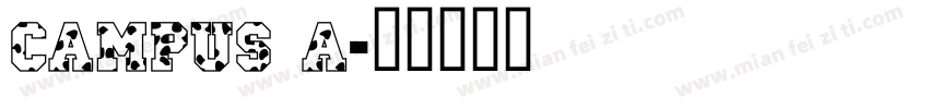 Campus A字体转换